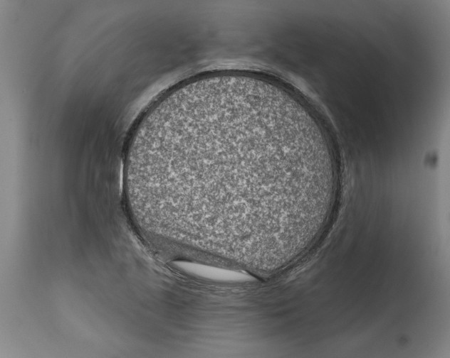 X0000114691221200911181246