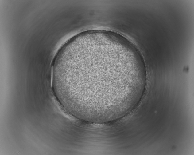 X0000114691223200911181246