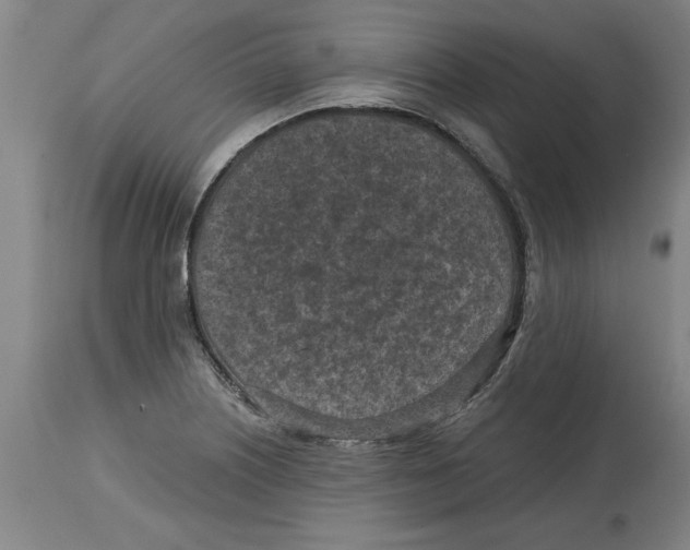 X0000114691226200911181246