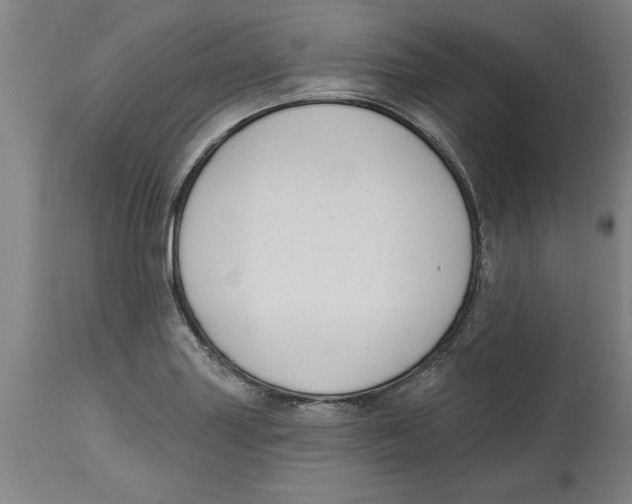 X0000114691227200911181246