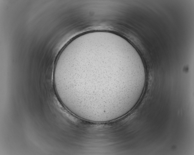 X0000114691228200911181246