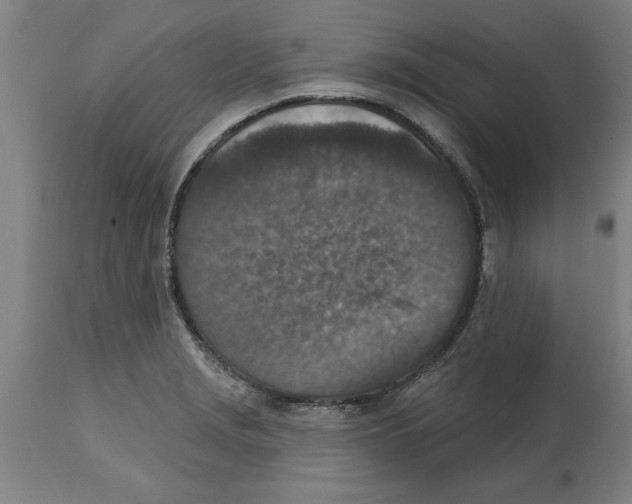 X0000114691229200911181246