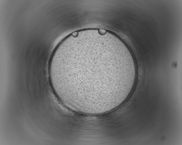 X0000114691230200911181246