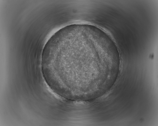 X0000114691231200911181246