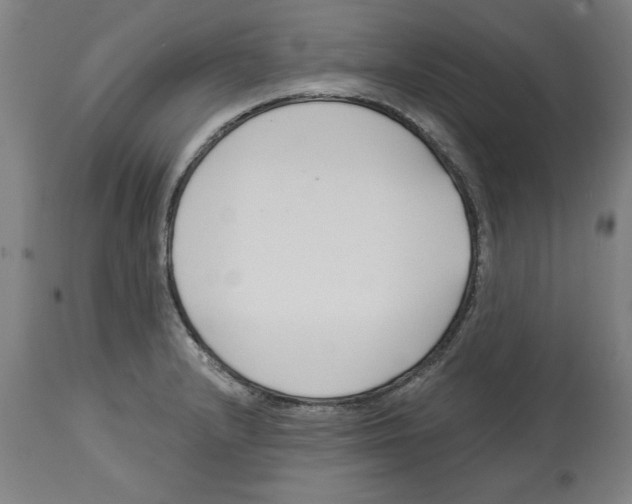 X0000114691232200911181246