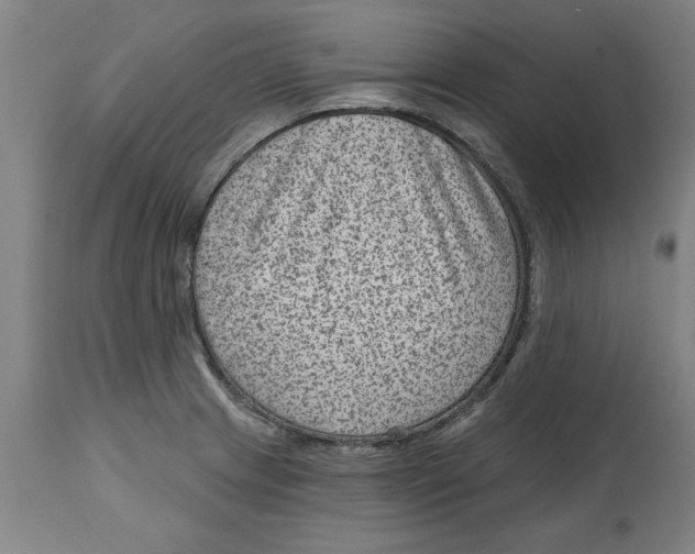 X0000114691233200911181246