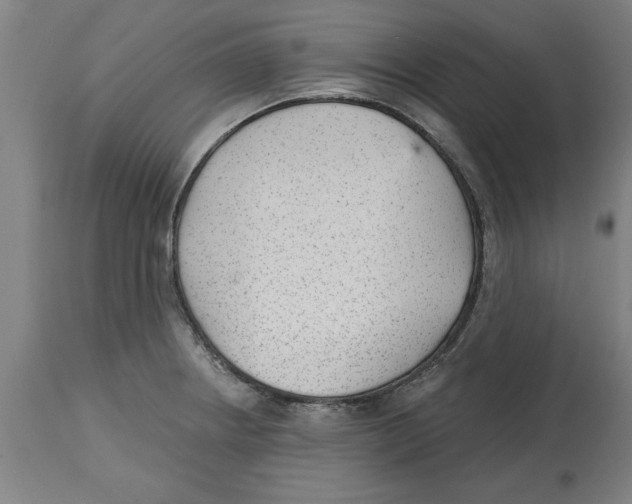 X0000114691234200911181246