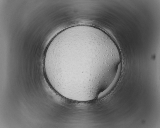 X0000114691235200911181246