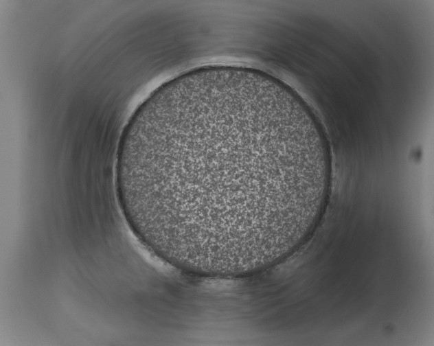 X0000114691237200911181246