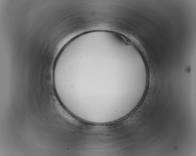 X0000114691238200911181246