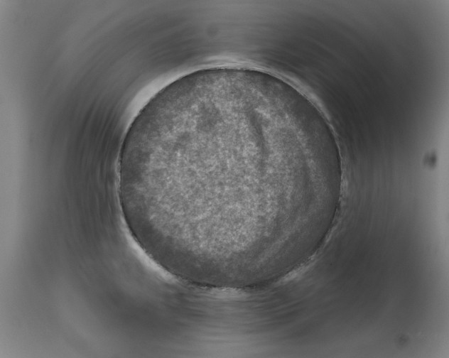 X0000114691239200911181246