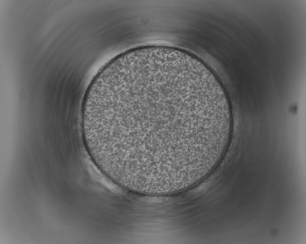 X0000114691240200911181246