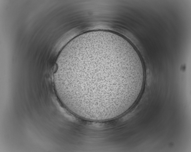 X0000114691241200911181246