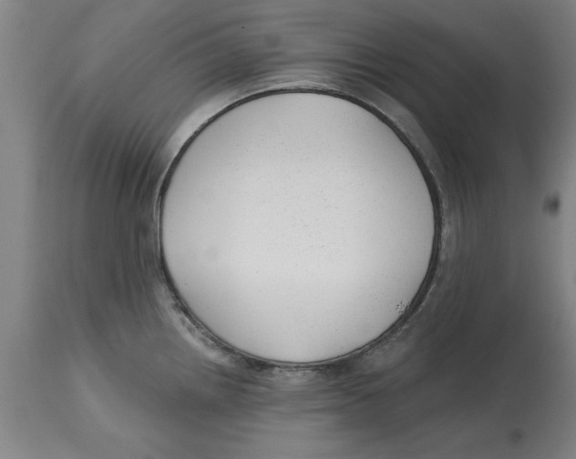 X0000114691242200911181246