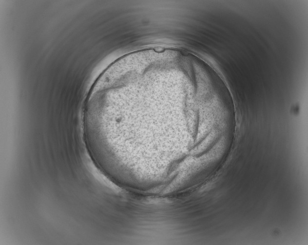 X0000114691243200911181246