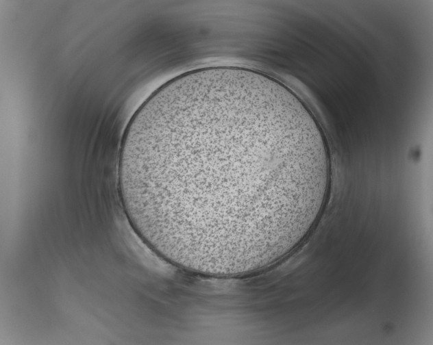 X0000114691244200911181246