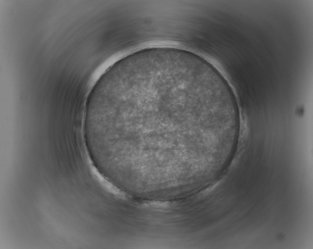 X0000114691245200911181246