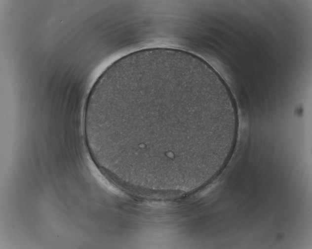 X0000114691246200911181246