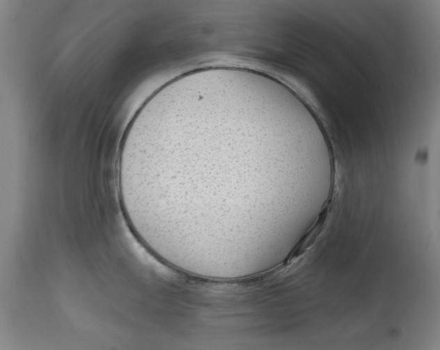 X0000114691247200911181246