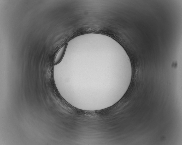 X0000114691250200911181245