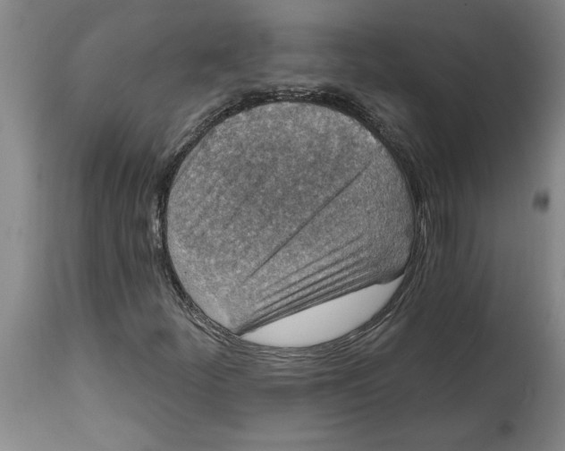 X0000114691252200911181245