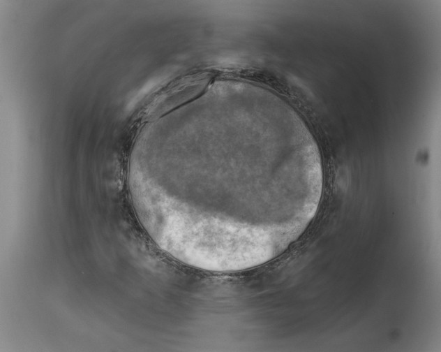 X0000114691253200911181245