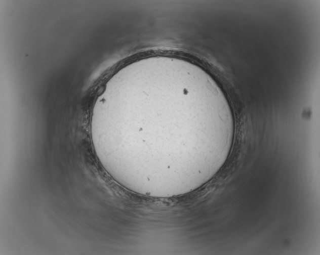 X0000114691255200911181245