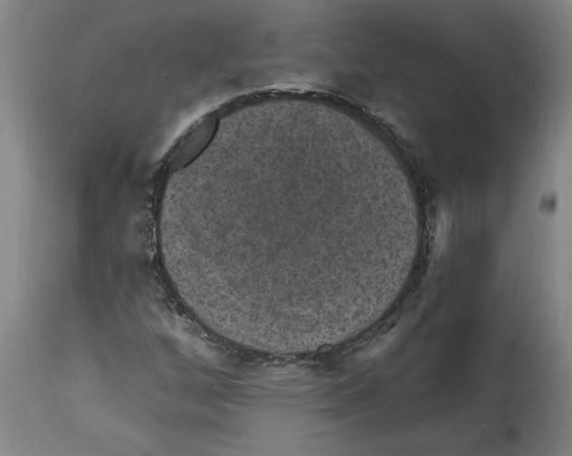 X0000114691256200911181245