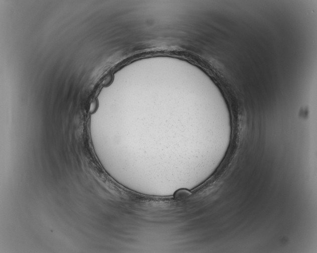 X0000114691257200911181245