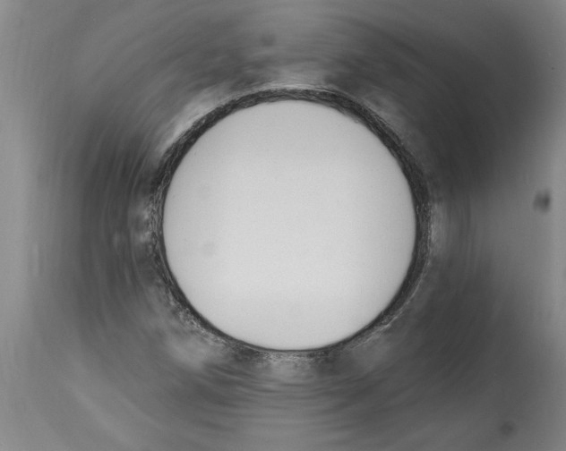 X0000114691258200911181245