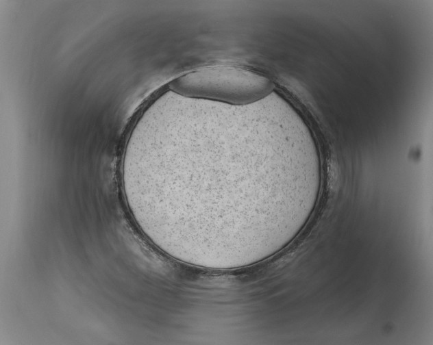 X0000114691260200911181245