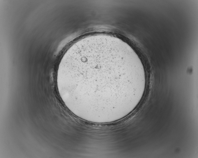 X0000114691261200911181245