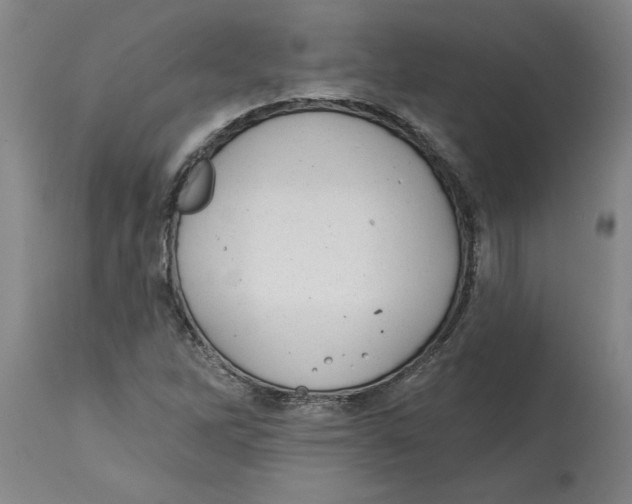 X0000114691262200911181245