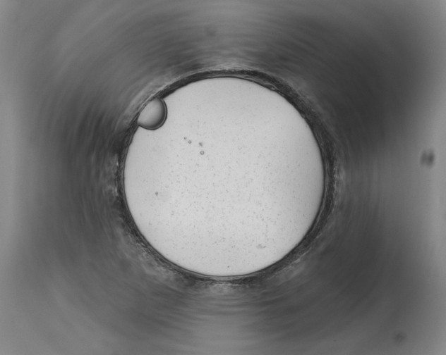 X0000114691265200911181245