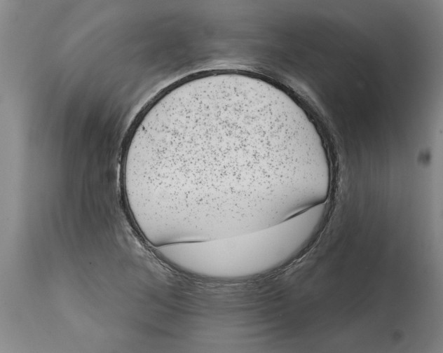 X0000114691268200911181245