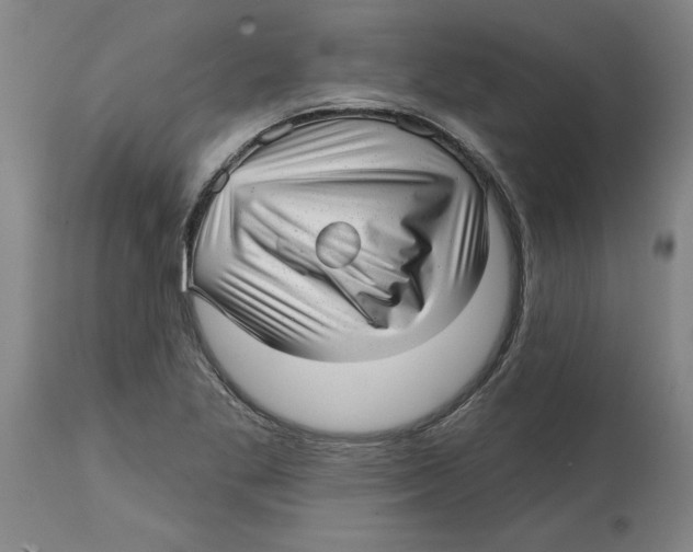 X0000114691269200911181245