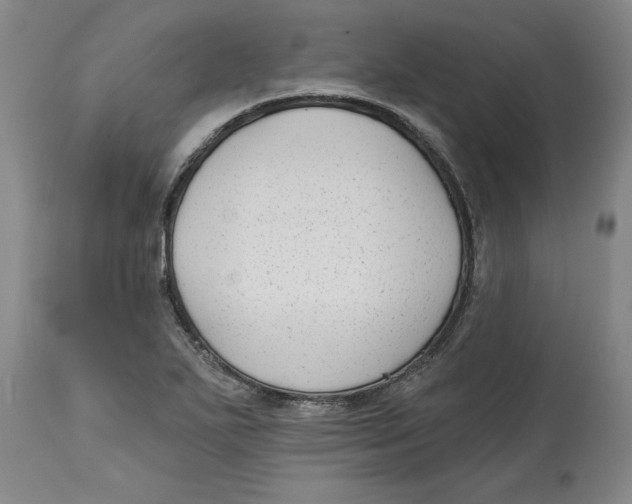 X0000114691271200911181245