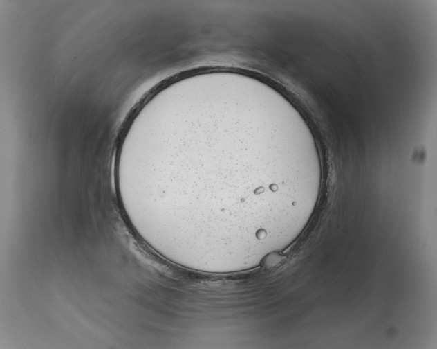 X0000114691272200911181245