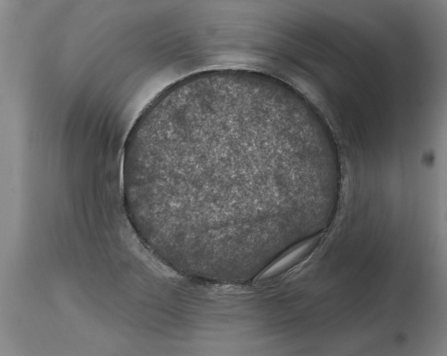 X0000114691275200911181245