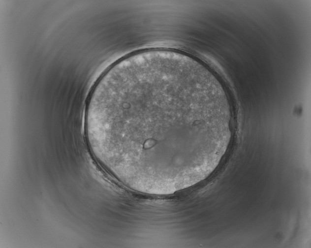 X0000114691276200911181245