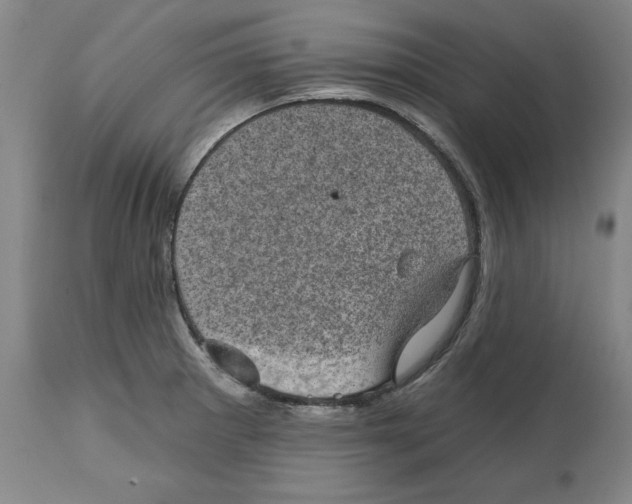 X0000114691281200911181245