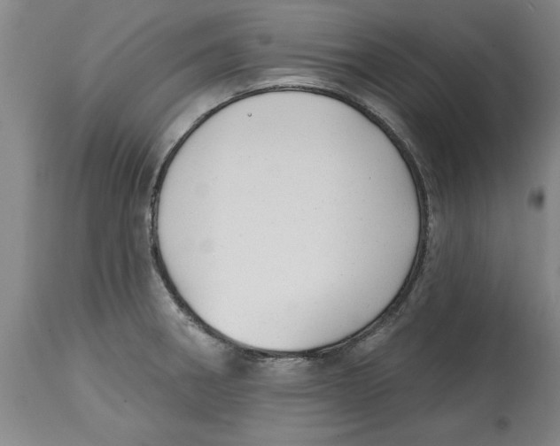 X0000114691282200911181245