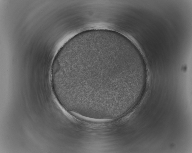 X0000114691285200911181245