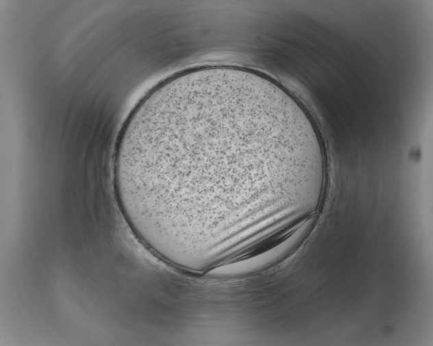 X0000114691288200911181245