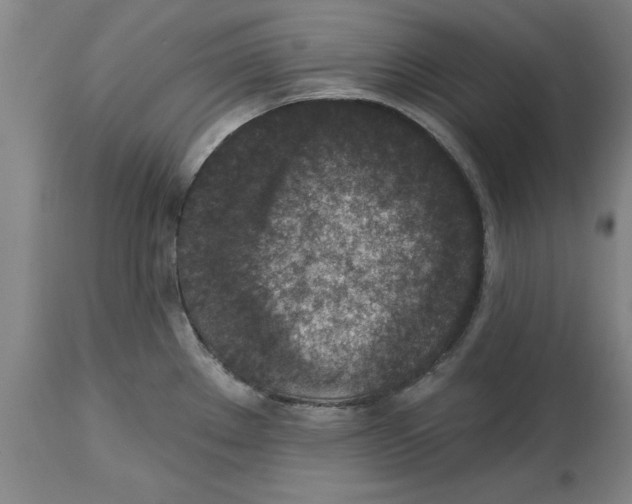 X0000114691289200911181245