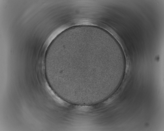 X0000114691293200911181245