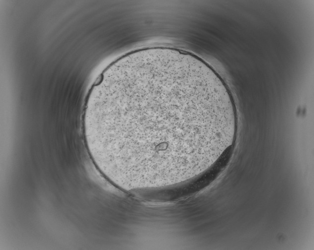 X0000114691296200911181245