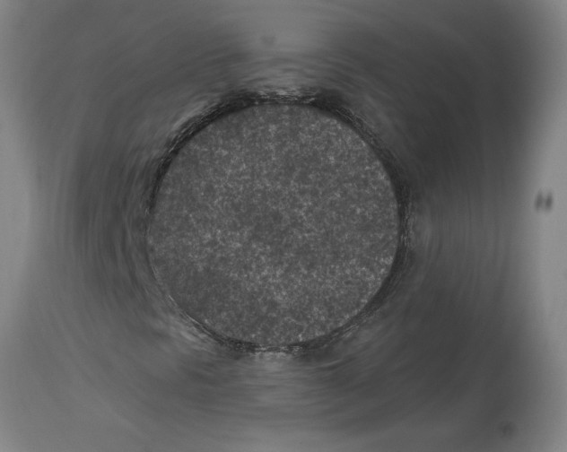 X0000114691297200911181244