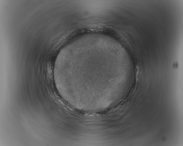 X0000114691298200911181244