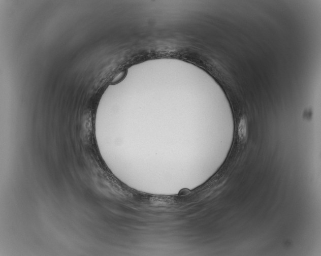 X0000114691299200911181244